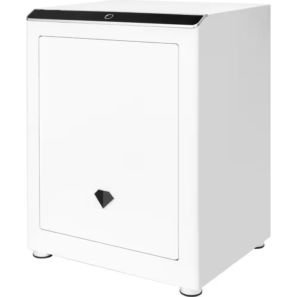 2.4 Cu. Ft. Touchscreen Biometric Keypad Security Safe